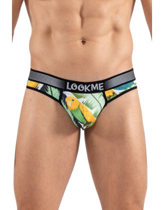 String imprimé oiseau chanteur, Bird Singer