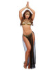 Costume sexy de danseuse Orientale