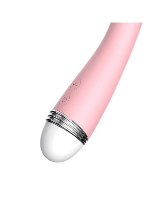 Vibromasseur rose vintage 10 vitesse USB