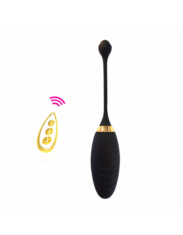 Oeuf vibrant noir avec 10 modes de vibration et 6 vitesses par mode