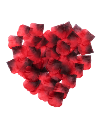 Pack de 100 Pétales de Rose