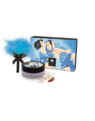 Mini Coffret poudre corporelle noix de coco et plumeau assorti