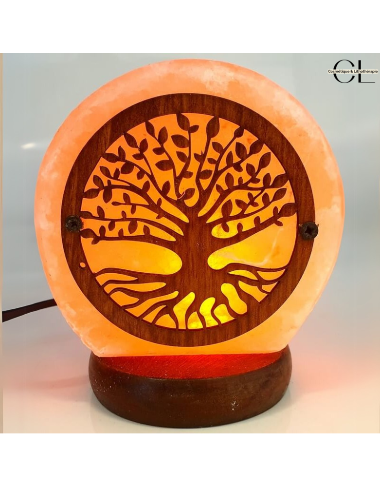 Lampe de Sel USB Arbre de Vie 1KG