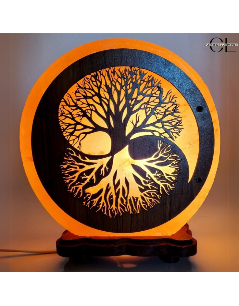 Lampe de sel d'Himalaya Arbre de Vie Yin-Yang 5KG
