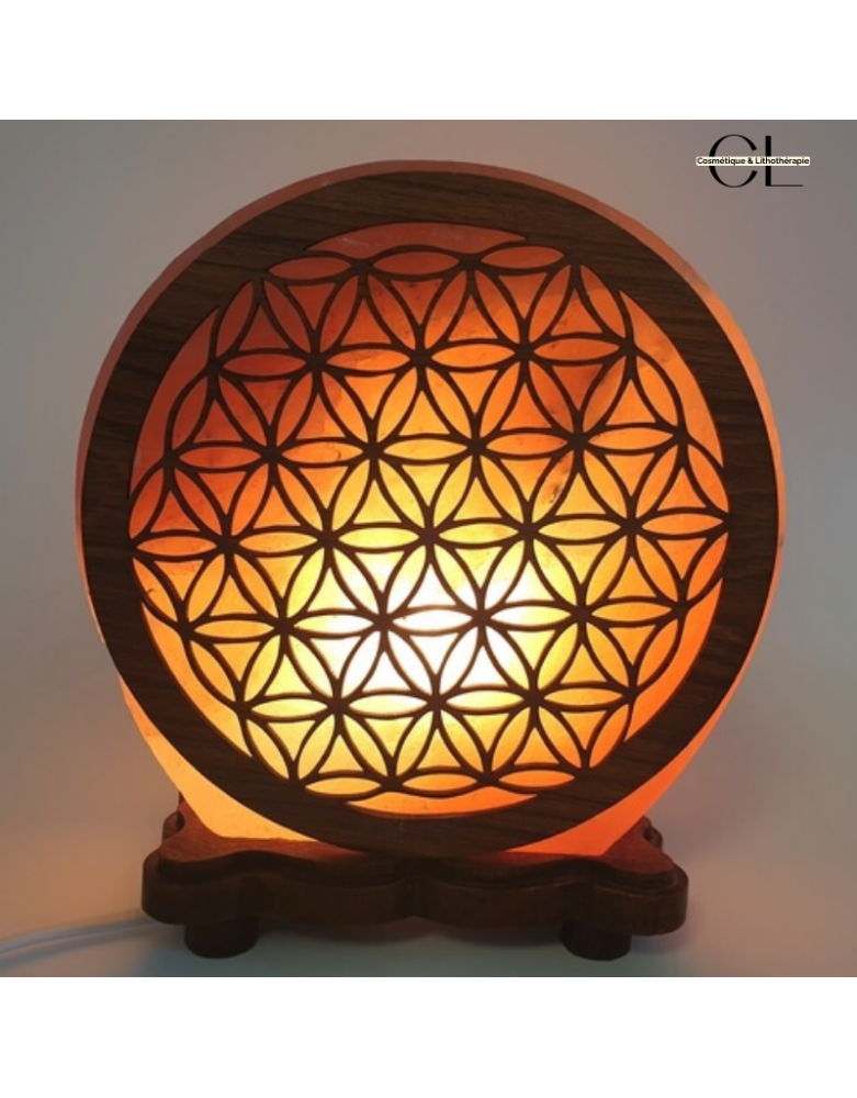 Lampe de sel d'Himalaya Fleur de vie 5KG
