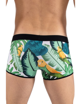 Boxer imprimé oiseau chanteur, Bird Singer