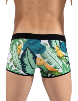 Boxer imprimé oiseau chanteur, Bird Singer