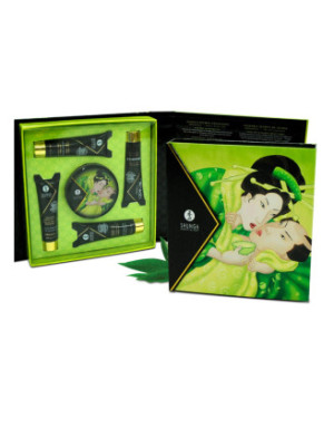 Coffret de Geisha Bio thé vert