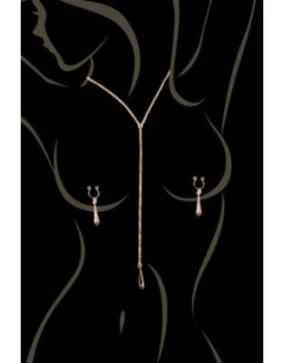 bijoux de corps, pinces de seins goutte et tour de cou chainette