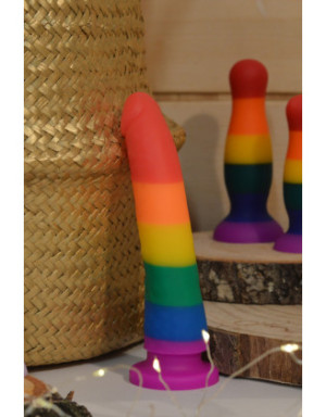 Gode ventouse multicouleur taille S
