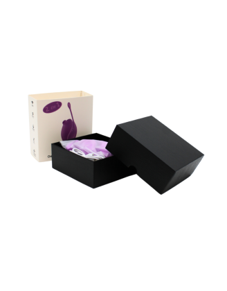 2en1 Stimulateur clitoridien à picots par aspiration avec son œuf vibrant à distance violet