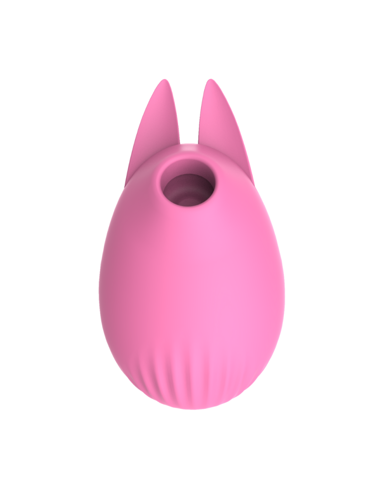 Stimulateur clitoridien Bunny USB rose Martie