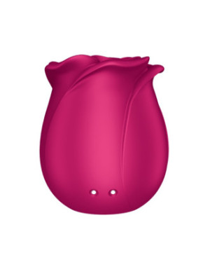 Stimulateur de clitoris rose par ondes de pression ou sans contact Pro 2 Classic Blossom Satisfyer