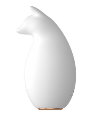 Stimulateur multifonction USB Renard