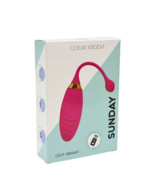 SUNDAY, Un Œuf vibrant USB avec télécommande, dans un silicone médical doux et rainuré