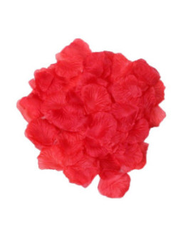 Pack de 100 Pétales de Rose