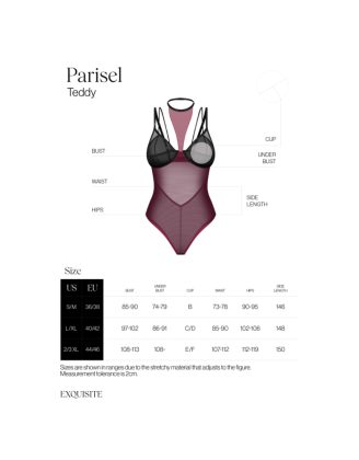 Parisel body