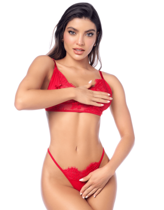 Ensemble sexy 3 pièces peek-a-boo en dentelle avec string et porte-jarretelles 
