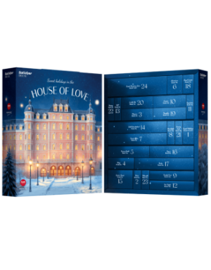 Calendrier de l’Avent Coquin Satisfyer Deluxe 2025 24 surprises