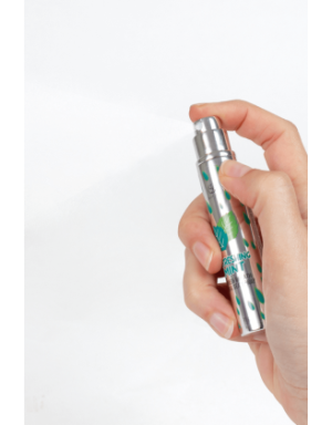 Spray Sexe Oral Menthe Haleine Fraîche 11gr Secret Play