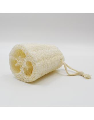 Luffa
