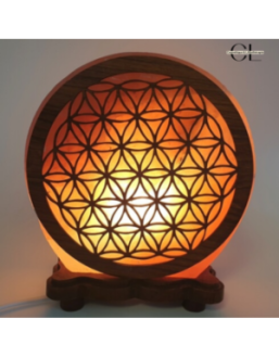 Lampe de sel d'Himalaya Fleur de vie 5KG