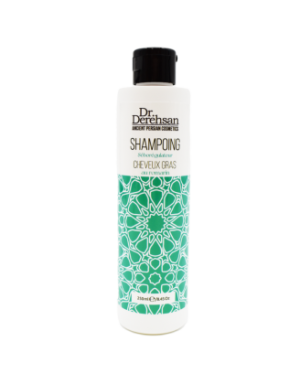 Shampoing cheveux gras 250ml