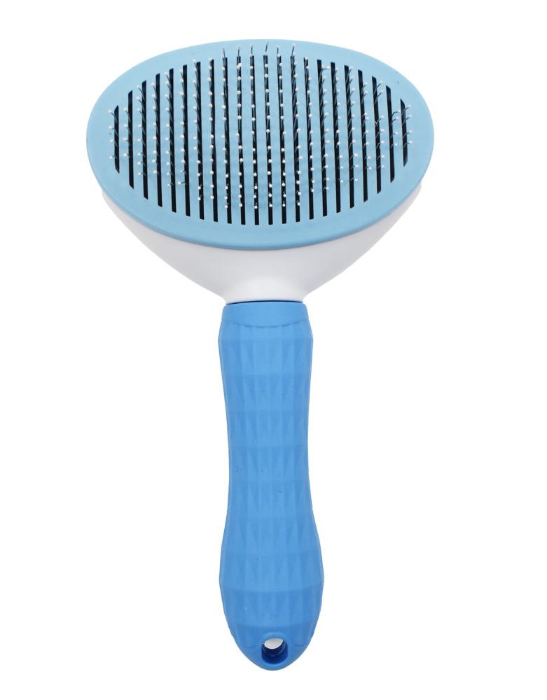 Brosse pour chien - Bleue